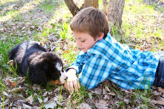 Young boy with his Bernese Mountain Dog puppy