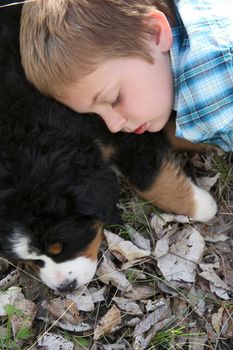Young boy with his Bernese Mountain Dog puppy