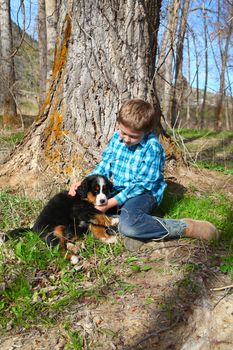 Young boy with his Bernese Mountain Dog puppy