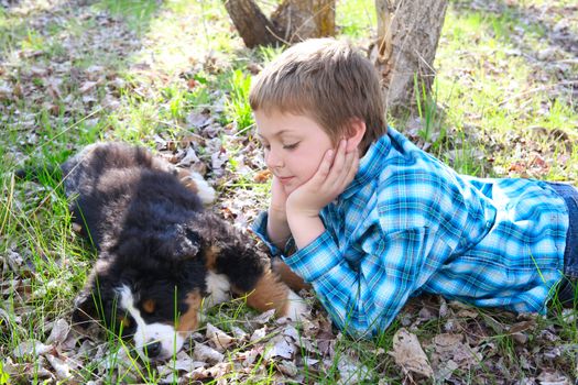 Young boy with his Bernese Mountain Dog puppy