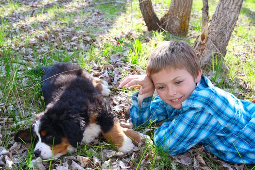 Young boy with his Bernese Mountain Dog puppy