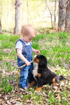 Toddler in denim overall playing with his puppy