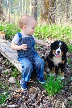 Toddler in denim overall playing with his puppy