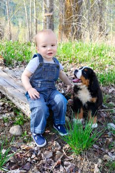 Toddler in denim overall playing with his puppy