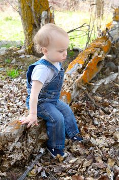 Little boy sitting outside in the field on a log