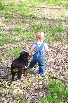 Toddler in denim overall playing with his puppy
