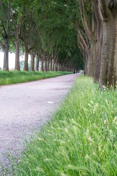 The Walls of Ferrara (in italian Le Mura) in Italy