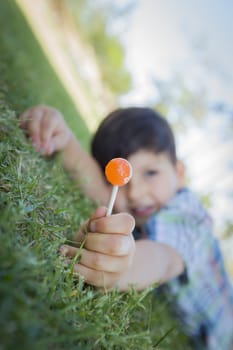 Handsome Young Boy Enjoying His Lollipop Outdoors on the Grass.