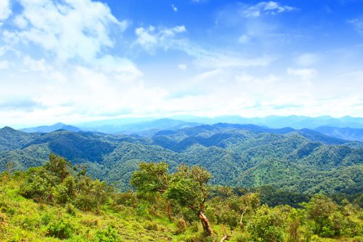 Views of the valley to the high peaks of 1200 meters in the national park