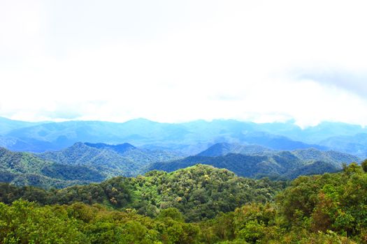 Views of the valley to the high peaks of 1200 meters in the national park