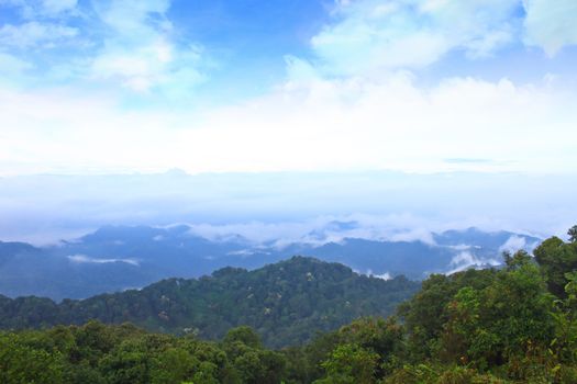Sea of fog with forests as foreground. This place is in the Kaeng Krachan national park, Thailand
