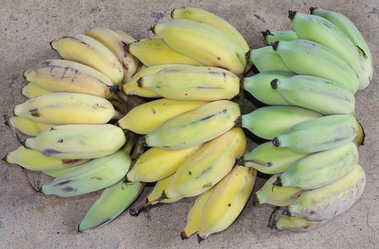 The Ripe Banana that good for everybody's health.