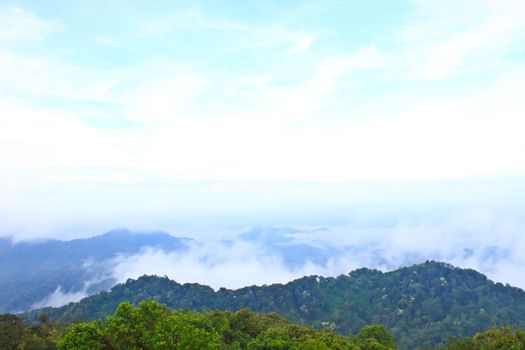 Sea of fog with forests as foreground. This place is in the Kaeng Krachan national park, Thailand