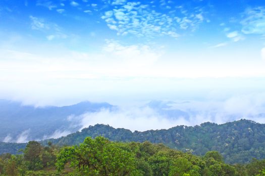 Sea of fog with forests as foreground. This place is in the Kaeng Krachan national park, Thailand