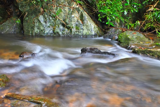 Tree and moss on stone in stream. Fresh spring air in the evening after rainy day, deep green color of fern and moss