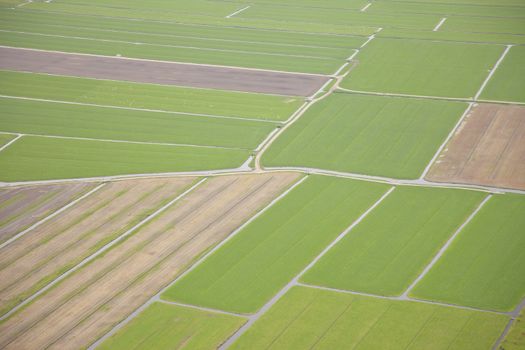 Dutch farm landscape from above, The Netherlands