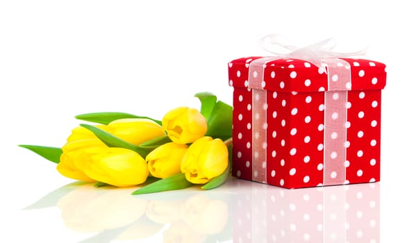 beautiful tulips with red polka-dot gift box. happy mothers day, romantic still life, fresh flowers
