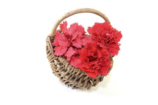 fresh red carnations blossoms in a basket on light background