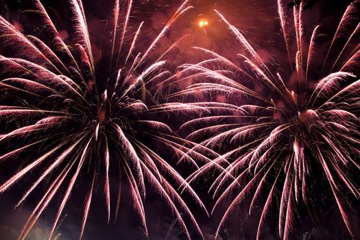 Red, pink and magenta fireworks at night