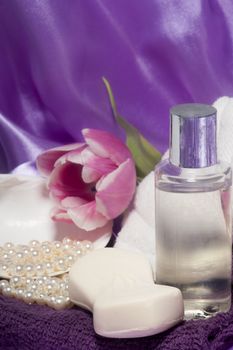 products for body care on fabric background