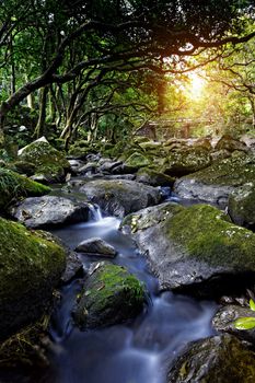 Cascade falls over mossy rocks at day