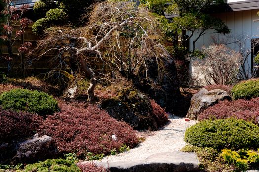 Japanese garden background