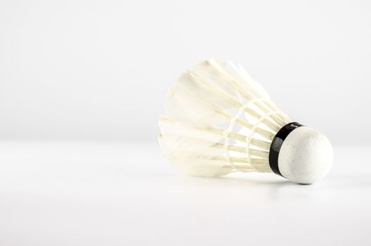 shutter cock on a white background