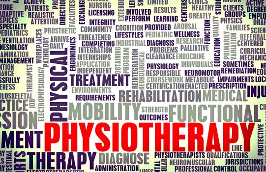 Physiotherapy as a Medical Career Concept Art