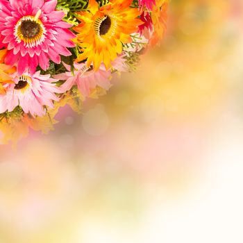 Flower background.  Fake flowers to create a beautiful