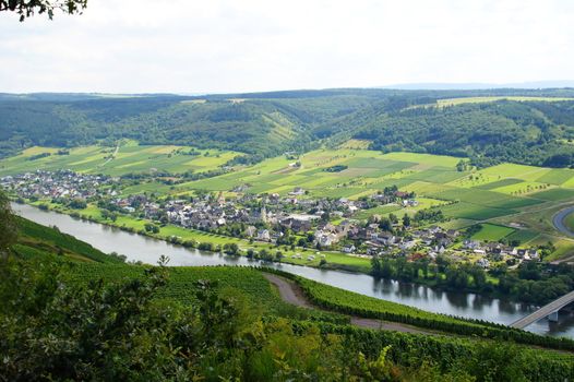 Kindel and Lösnich on the Moselle in summer