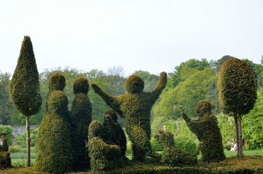 Formal garden topiary