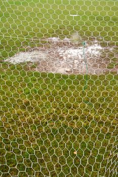 Wet football field