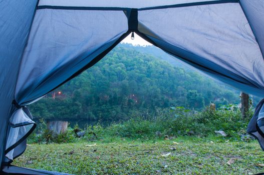Tent standing on a grass in mountains side swamps