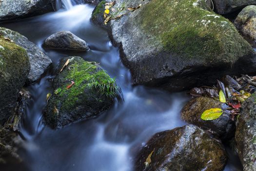 River stream