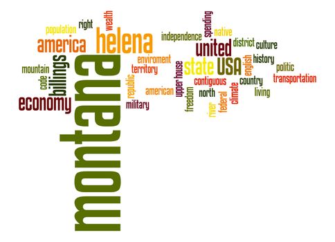 Montana word cloud