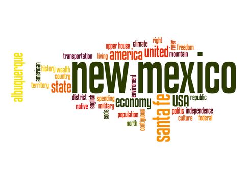 New Mexico word cloud