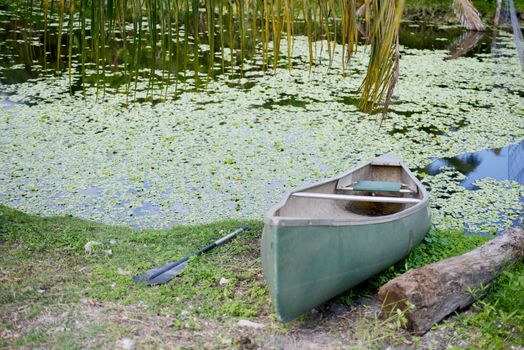 canoe on river bank with algae in tropical location