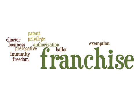 Franchise word cloud