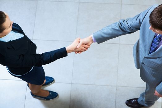 Business woman and businessman shaking hands, reach agreement