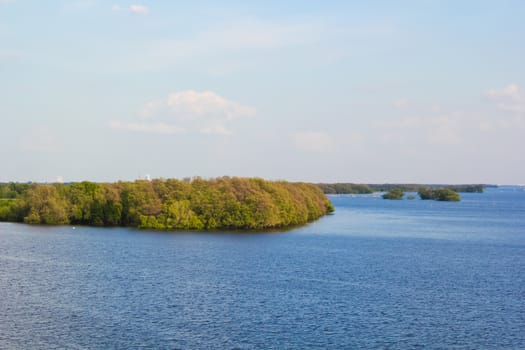 Mangrove forest of Thai gulf