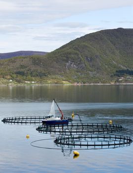 Modern fish farming at the Norwegian coast