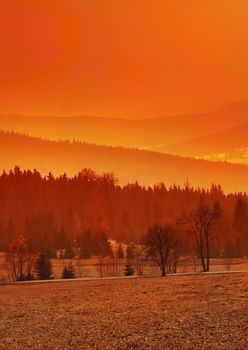 Awesome orange landscape of valley with forest and mountains in back.