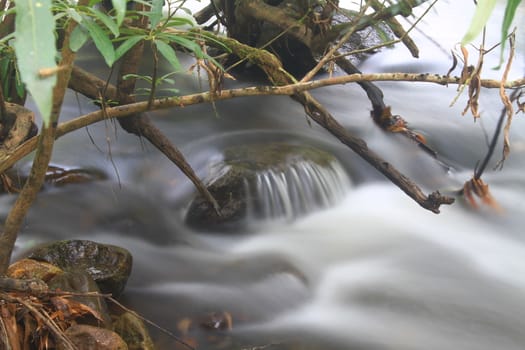 River in deep forest, river in evergreen forest in Thailand 