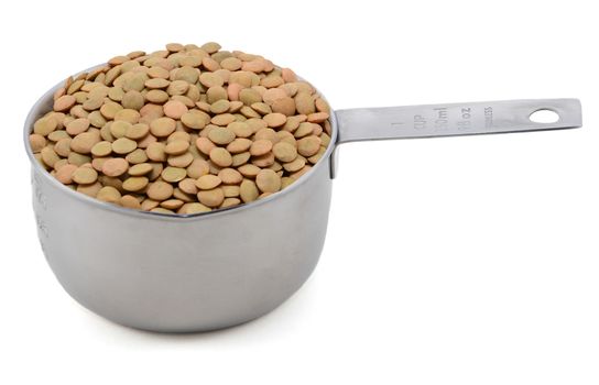 Green lentils in an American cup measure, isolated on a white background