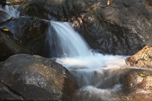 waterfall and rocks covered with moss in deep forest