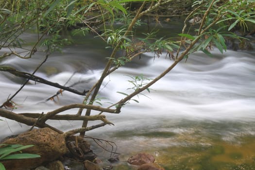 River in deep forest, river in evergreen forest in Thailand 