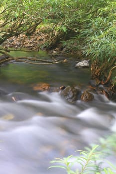 River in deep forest, river in evergreen forest in Thailand 