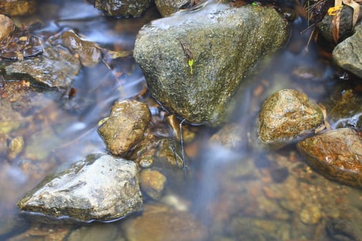 River in deep forest, river in evergreen forest in Thailand 