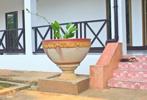 green plant inside big concrete vase near stairs