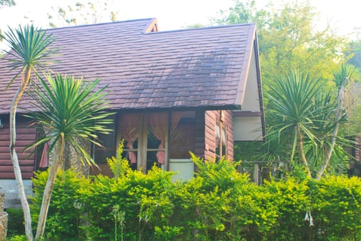 wooden house and garden architecture design, Thailand